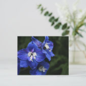Blauw briefkaart van Delphiniumbloem (Staand voorkant)