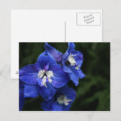 Blauw briefkaart van Delphiniumbloem (Voorkant / Achterkant)