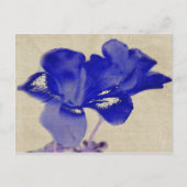 Blauw Briefkaart van Floral (Voorkant)