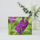 Blauw Briefkaart van Snakeweed (Staand voorkant)