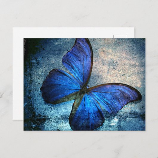 Blauw Briefkaart vlinder (Voorkant / Achterkant)