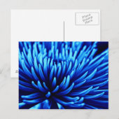Blauw briefkaart voor kunstbloem met chrysanthemum (Voorkant / Achterkant)