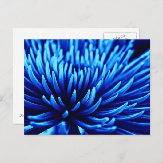 Blauw briefkaart voor kunstbloem met chrysanthemum (Voorkant / Achterkant)