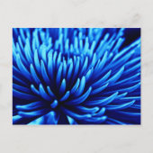 Blauw briefkaart voor kunstbloem met chrysanthemum (Voorkant)