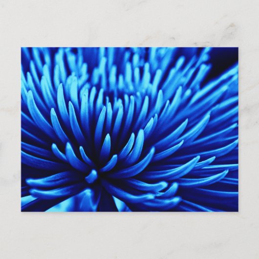 Blauw briefkaart voor kunstbloem met chrysanthemum (Voorkant)