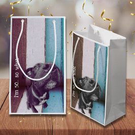 Blauw Bruin Grappig 50e Hond Close Up Klein Cadeauzakje