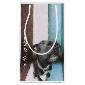 Blauw Bruin Grappig 50e Hond Close Up Klein Cadeauzakje (Voorkant)