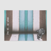 Blauw Bruin Grappig 50e Hond Close-up Tissue Papie Tissuepapier (Voorkant)