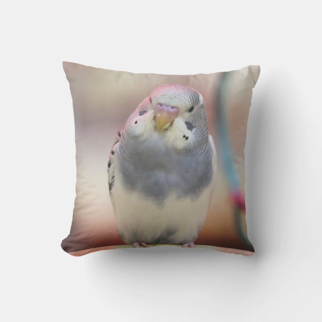 Blauw Buitenkussen (Voorkant)