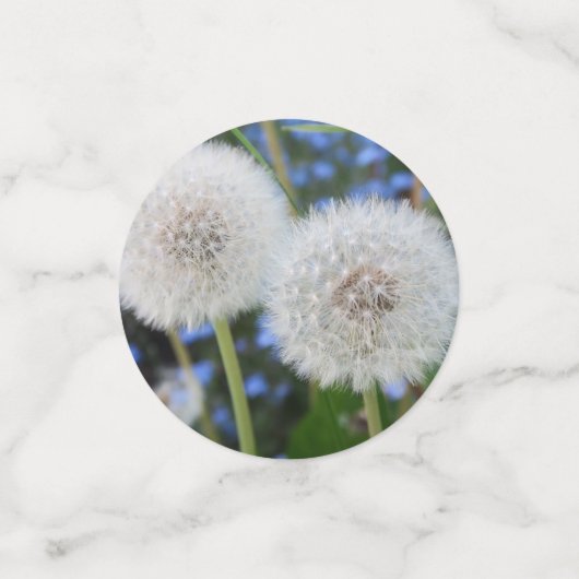 blauw, buttercup, plant, andelion, weide, wit; confetti (Kleine voorkant)