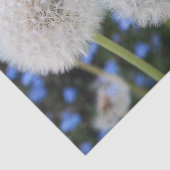 blauw, buttercup, plant, andelion, weide, wit; tissuepapier (Detail)