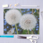 blauw, buttercup, plant, andelion, weide, wit; tissuepapier (Craft)
