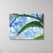 Blauw Canvas kunstprint Hydrangea Bloementuin Afdruk (Voorkant)
