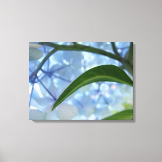 Blauw Canvas kunstprint Hydrangea Bloementuin Afdruk (Voorkant)