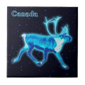 Blauw Caribisch gebied (rendier) Tegeltje (Voorkant)