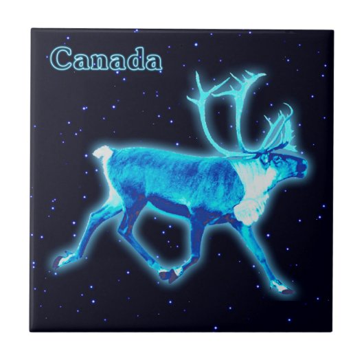 Blauw Caribisch gebied (rendier) Tegeltje (Voorkant)