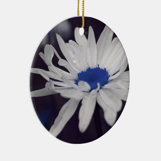 Blauw centrum Daisy Flower Ornament (Rechts)