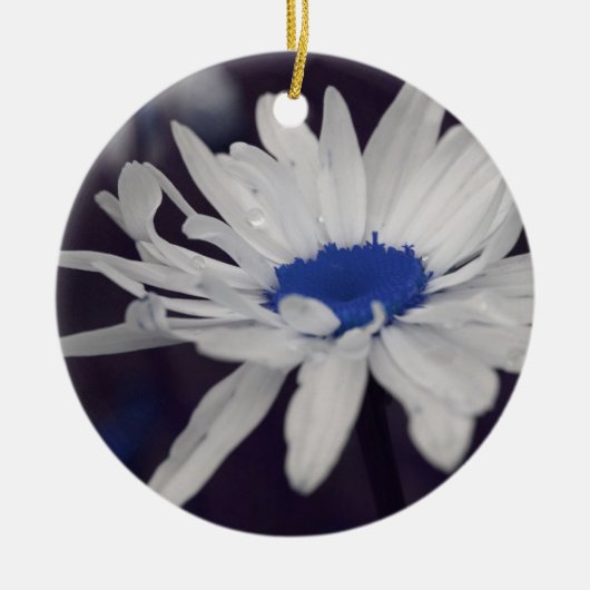 Blauw centrum Daisy Flower Ornament (Voorkant)