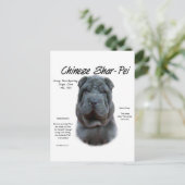 Blauw Chinees Shar Pei Geschiedenis, Sharpei, Shar Briefkaart (Staand voorkant)