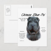 Blauw Chinees Shar Pei Geschiedenis, Sharpei, Shar Briefkaart (Voorkant / Achterkant)