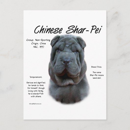 Blauw Chinees Shar Pei Geschiedenis, Sharpei, Shar Briefkaart (Voorkant)