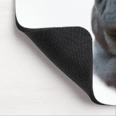 Blauw Chinees Shar Pei Geschiedenis, Sharpei, Shar Muismat (Hoek)