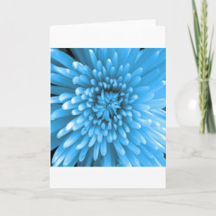 Blauw Chrysanthemum Kaart