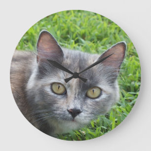 Blauw crème - Klok voor Kat met touwtjes