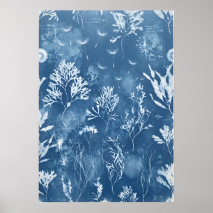 Blauw Cyanotype Zeewier Botanisch Journal Kunst Poster