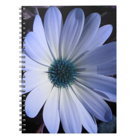 Blauw Daisy Flower Notitieboek (Voorkant)