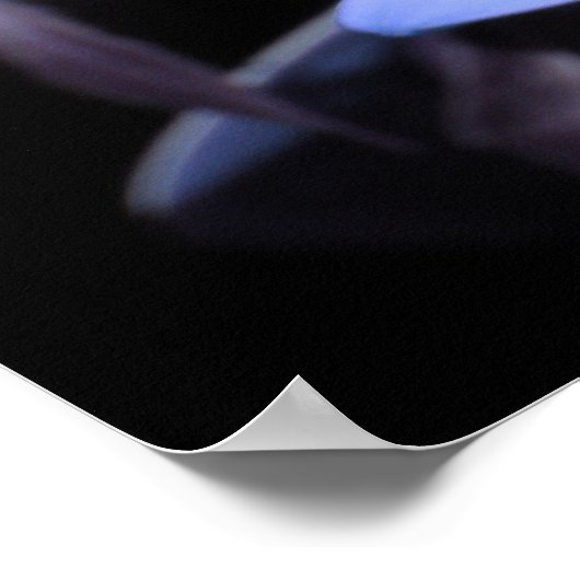 Blauw Daisy Flower Poster (Hoek)