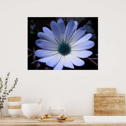 Blauw Daisy Flower Poster (Keuken)