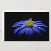 Blauw Daisy Gerbera Flower Scrapbook papier (Voorkant / Achterkant)