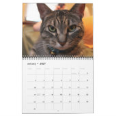 Blauw de Kat - Agenda 2021 Kalender (Jan 2027)