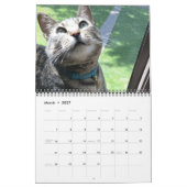 Blauw de Kat - Agenda 2021 Kalender (Mar 2027)