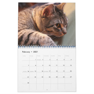 Blauw de Kat - Agenda 2021 Kalender
