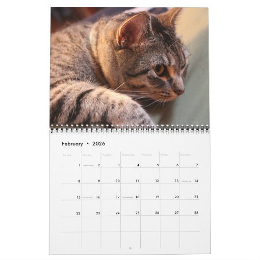 Blauw de Kat - Agenda 2021 Kalender (Feb 2026)