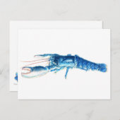 Blauw de waterverfbriefkaart van de zeekreeft fijn briefkaart (Voorkant / Achterkant)