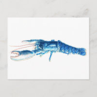 Blauw de waterverfbriefkaart van de zeekreeft fijn