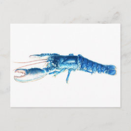 Blauw de waterverfbriefkaart van de zeekreeft fijn briefkaart
