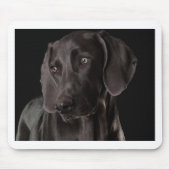 Blauw de Weimaraner Muismat (Voorkant)
