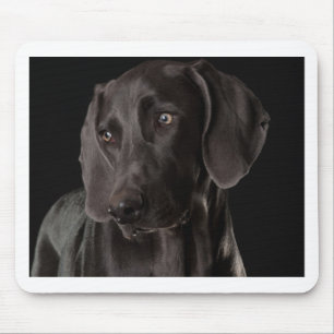 Blauw de Weimaraner Muismat