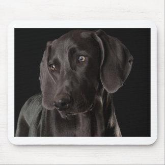 Blauw de Weimaraner Muismat