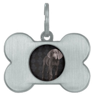 Blauw de Weimaraner Puppy Huisdieren Naamplaatje