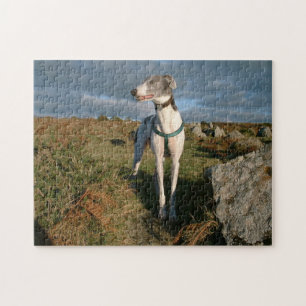Blauw de windhond  legpuzzel