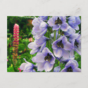 Blauw Delphinium Briefkaart
