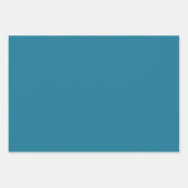 Blauw, Donker Blauwgroen, Zalm & Wit Plaid Inpakpapier Vel (Voorkant 2)