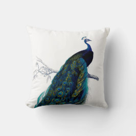 blauw Elegant kleurig Peacock Kussen