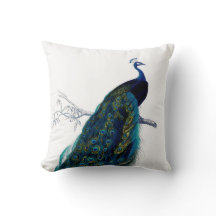 blauw Elegant kleurig Peacock
