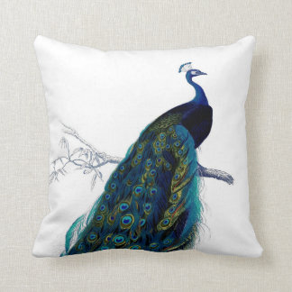 blauw Elegant kleurig Peacock Kussen